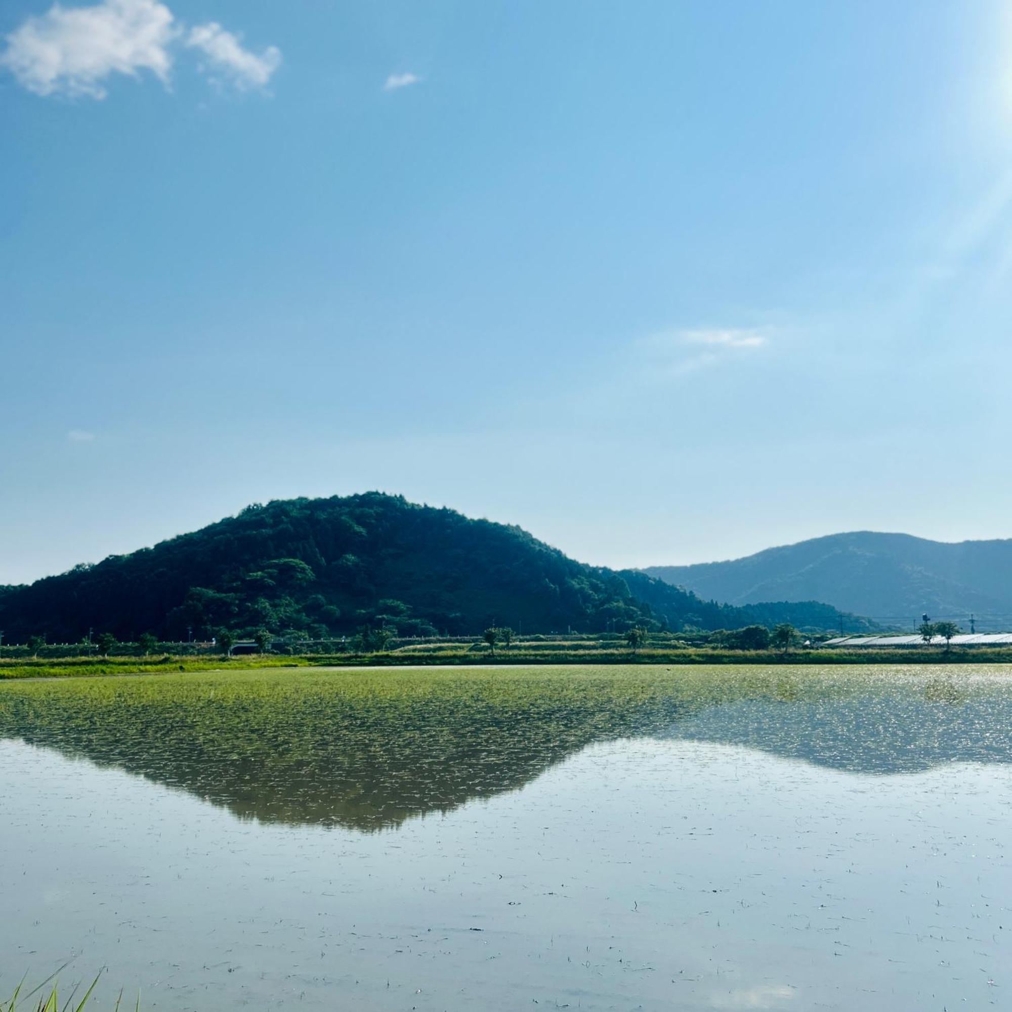 湖北 寺の宿-去-来-現ko-Rai-Gen Nagahama  Exterior foto